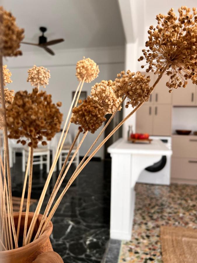Apartment In Paros Esterno foto